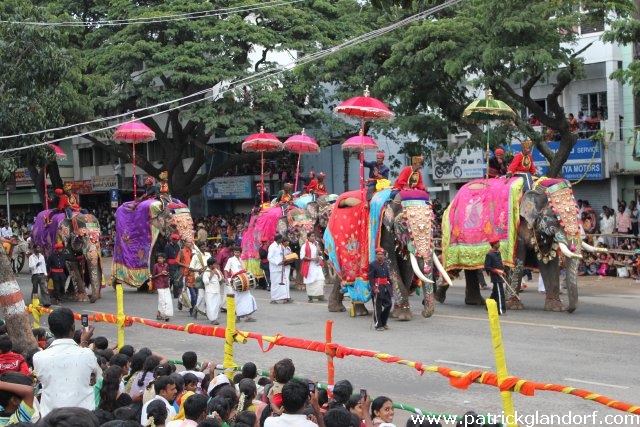 Desahra Festival Umzug